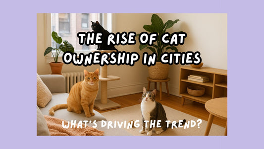 The Rise of Cat Ownership in Cities: What’s Driving the Trend?