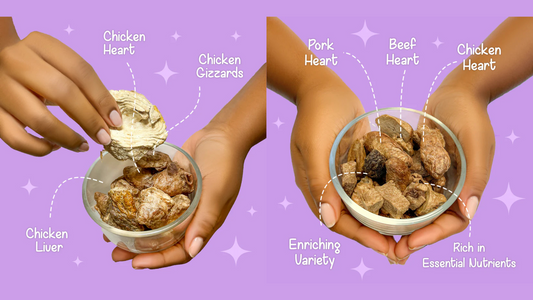 How Many Treats Should I Give My Cat? A Guide to Healthy Snacking Without Overdoing It