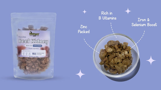 Why Beef Kidney Deserves a Spot in Your Pet’s Treat Rotation