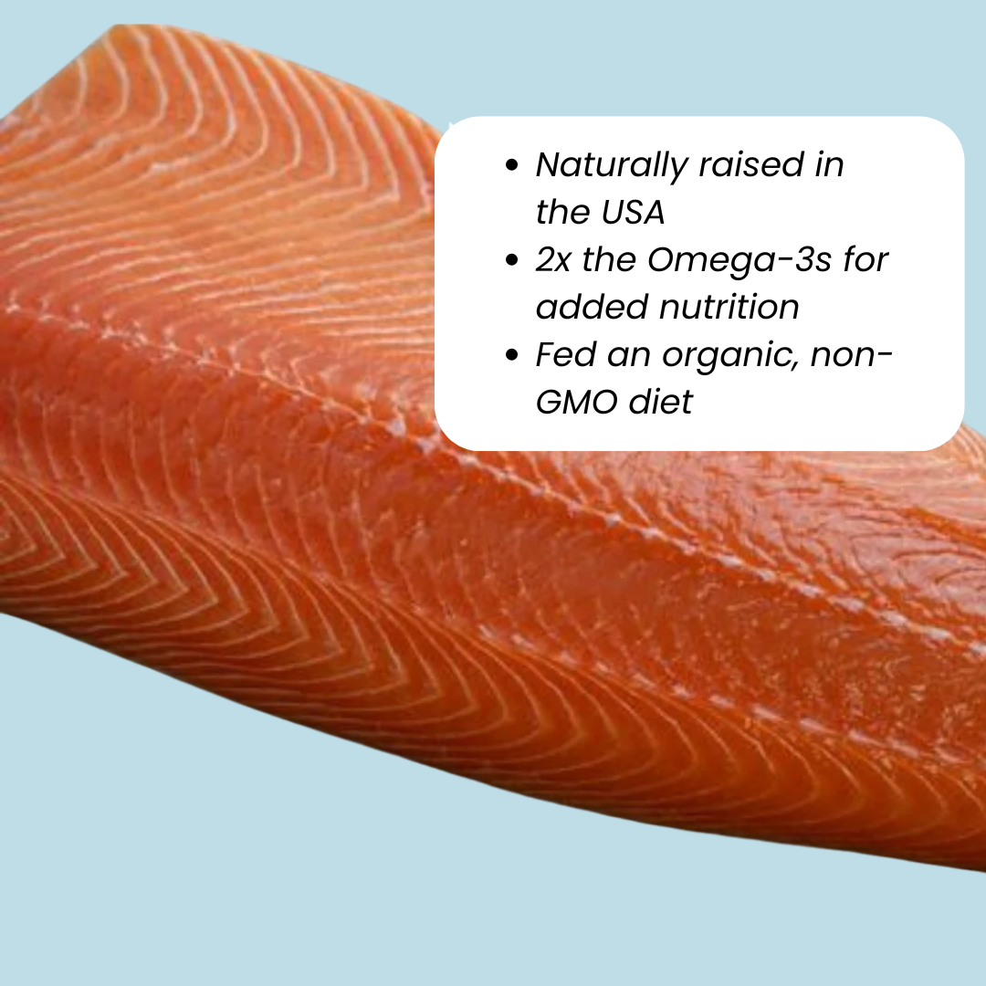 Raw Atlantic salmon filet with text overlay showing benefits like omega-3s, joint support, and skin & coat health
