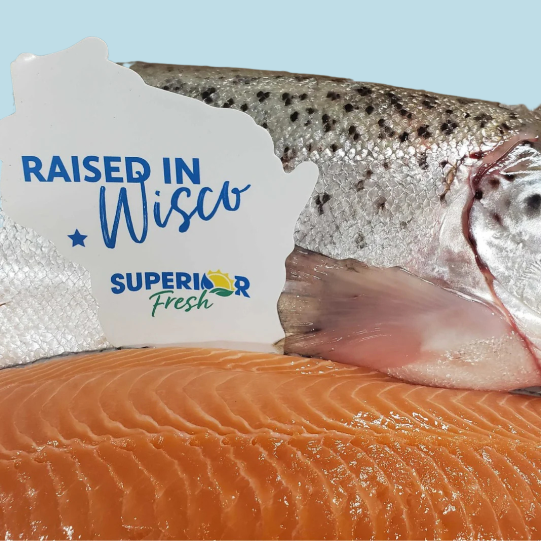 Fresh Atlantic salmon with sign showing it was raised in Wisconsin by Superior Fresh, BellePepper’s trusted supplier