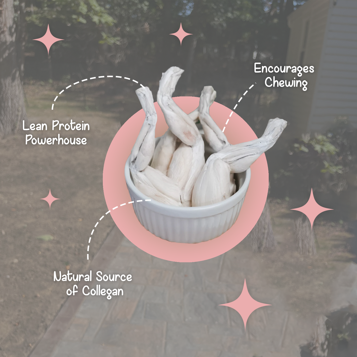 BellePepper freeze-dried frog legs in a ceramic cup with text highlighting benefits like lean protein and novel ingredient for pets with sensitivities