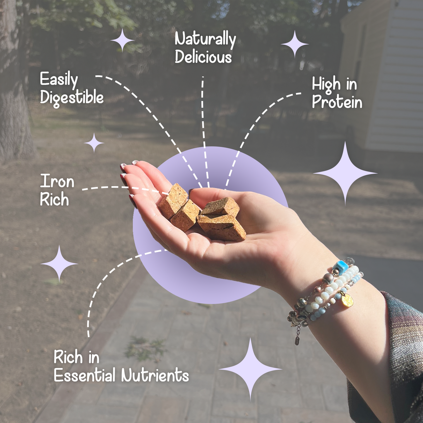 Hand holding a freeze-dried bison liver treat from BellePepper, highlighting benefits like iron, B vitamins, and lean organ meat