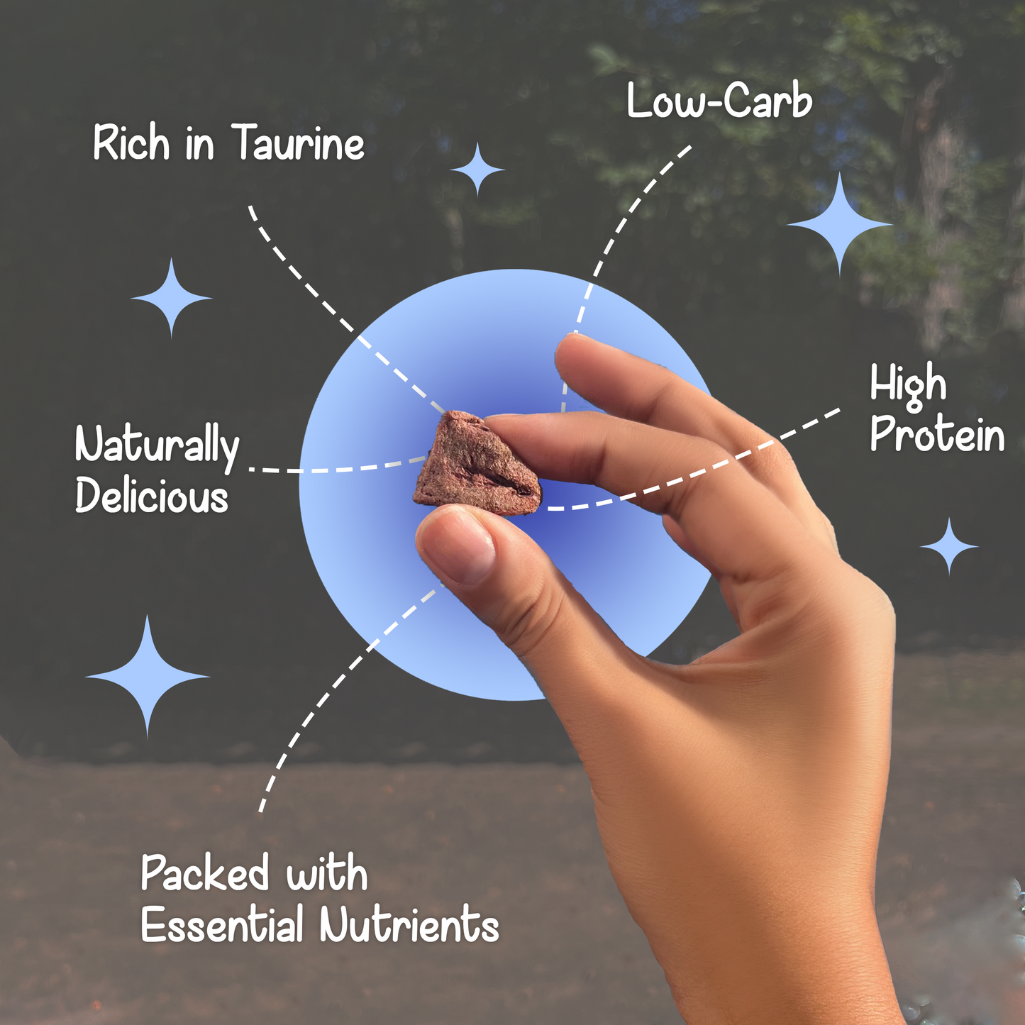 Hand holding a freeze-dried chicken heart slice from BellePepper, highlighting benefits like taurine, iron, and natural protein