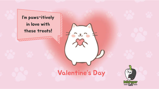 Why Quality Protein is the Best Way to Say ‘I Love You’ to Your Cat