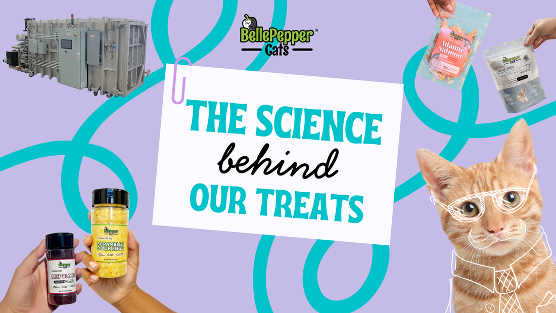 Why BellePepper Cats Freeze-Dried Treats Are Different
