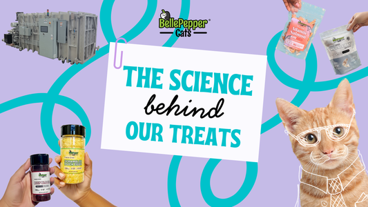Why BellePepper Cats Freeze-Dried Treats Are Different