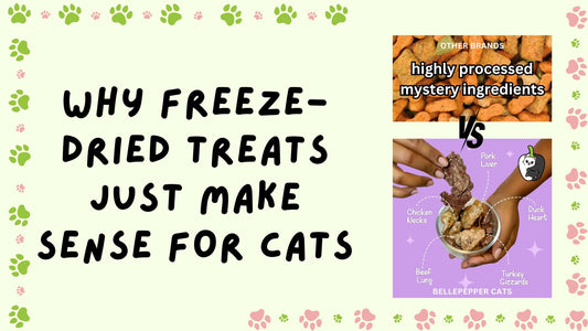 Why Freeze-Dried Treats Just Make Sense for Cats