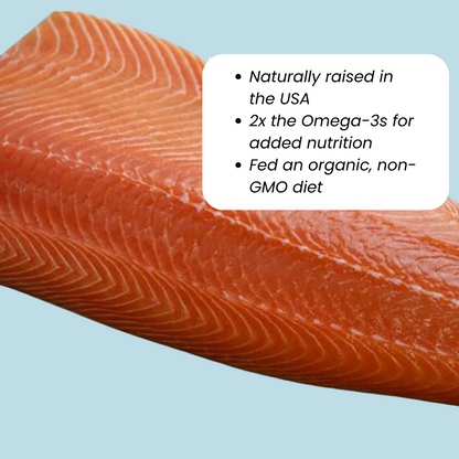 Raw Atlantic salmon filet with text overlay showing benefits like omega-3s, joint support, and skin & coat health