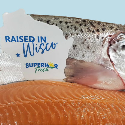 Fresh Atlantic salmon with sign showing it was raised in Wisconsin by Superior Fresh, BellePepper’s trusted supplier