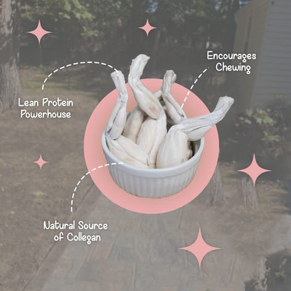 BellePepper freeze-dried frog legs in a ceramic cup with text highlighting benefits like lean protein and novel ingredient for pets with sensitivities