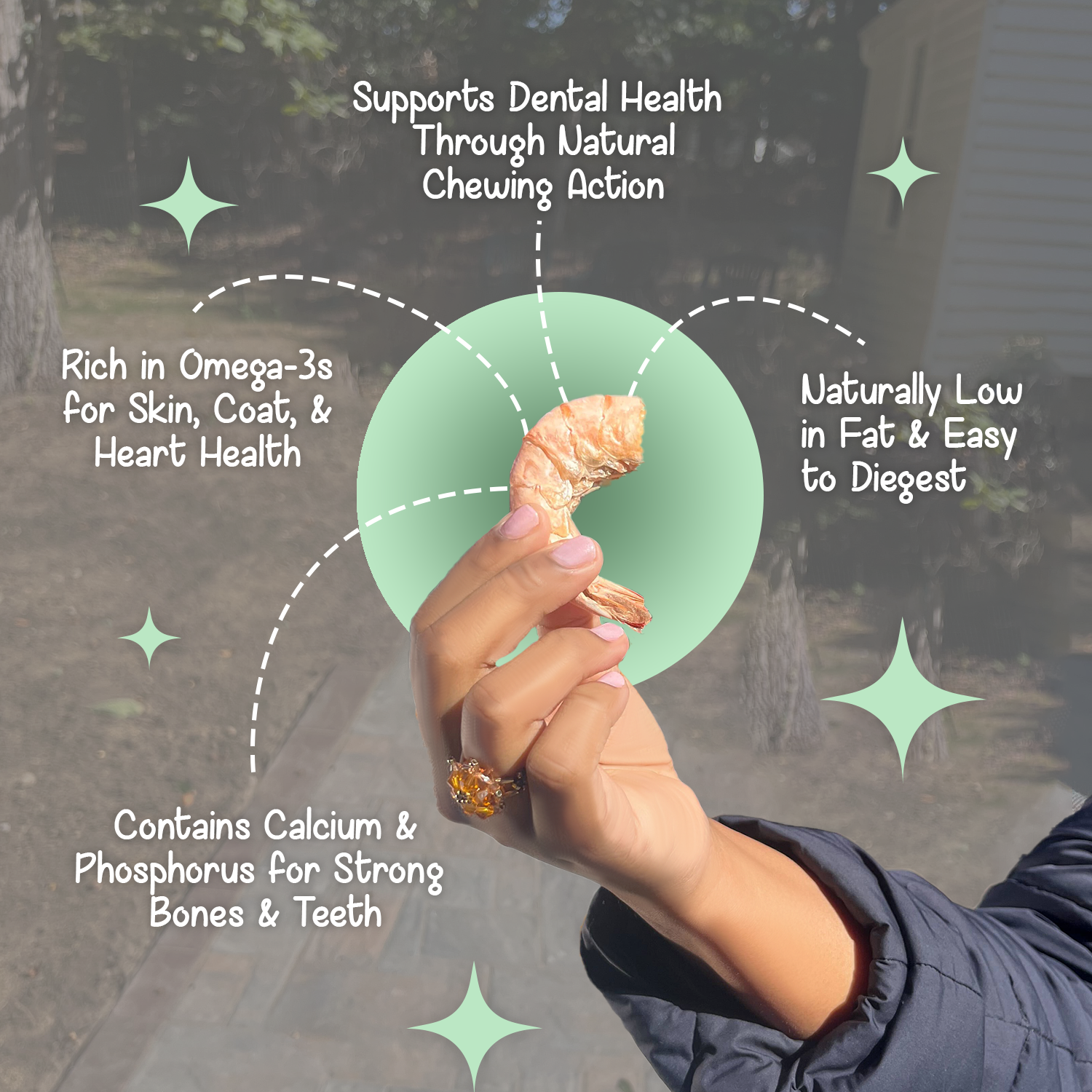  Hand holding a jumbo shrimp treat from BellePepper Cats, showing its size and natural texture