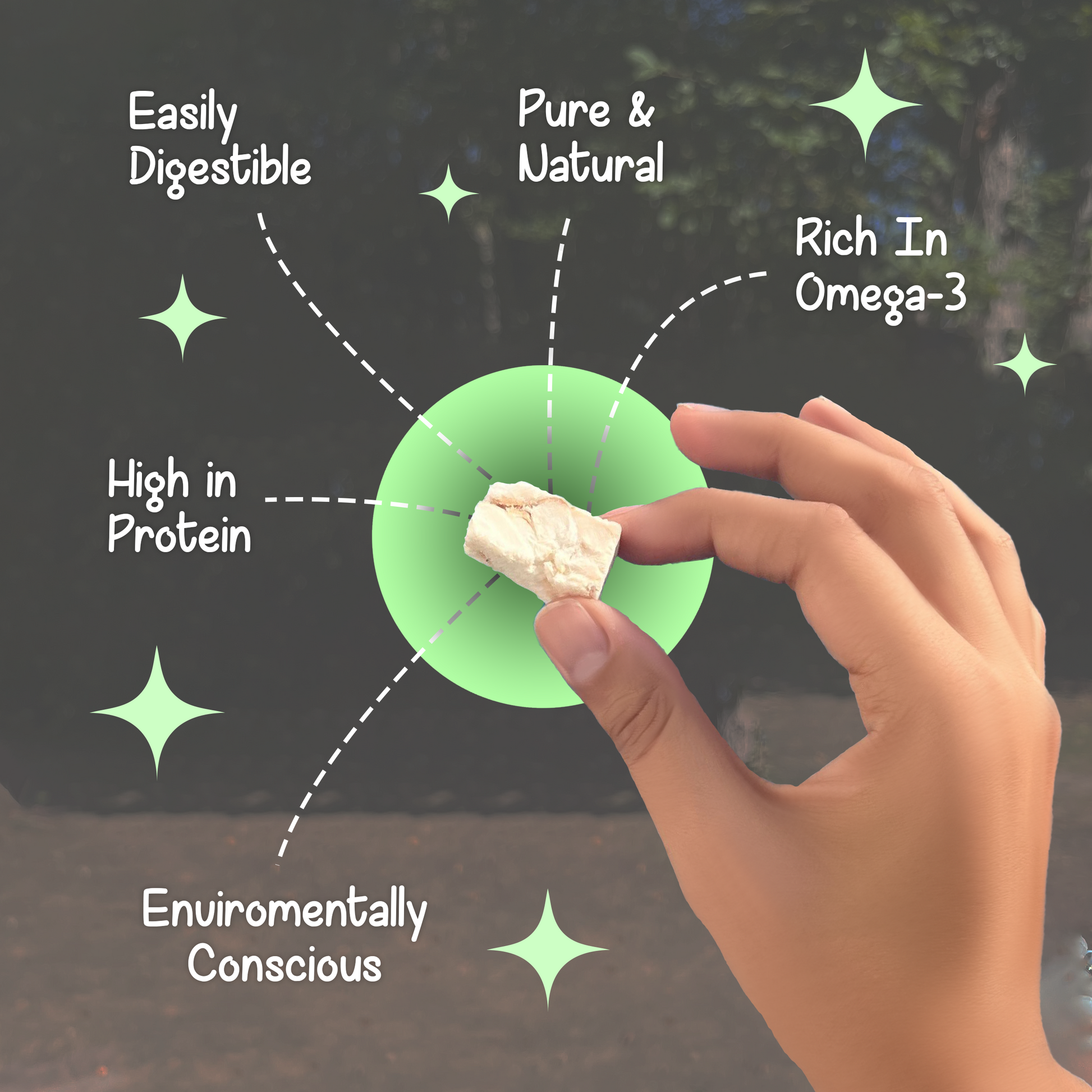 Hand holding a BellePepper freeze-dried Alaskan whitefish treat, highlighting benefits like omega-3s, joint support, and healthy skin and coat