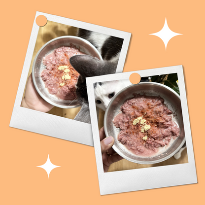 Collage of freeze-dried pumpkin powder in a bowl and cat enjoying it – natural fiber boost for healthy digestion