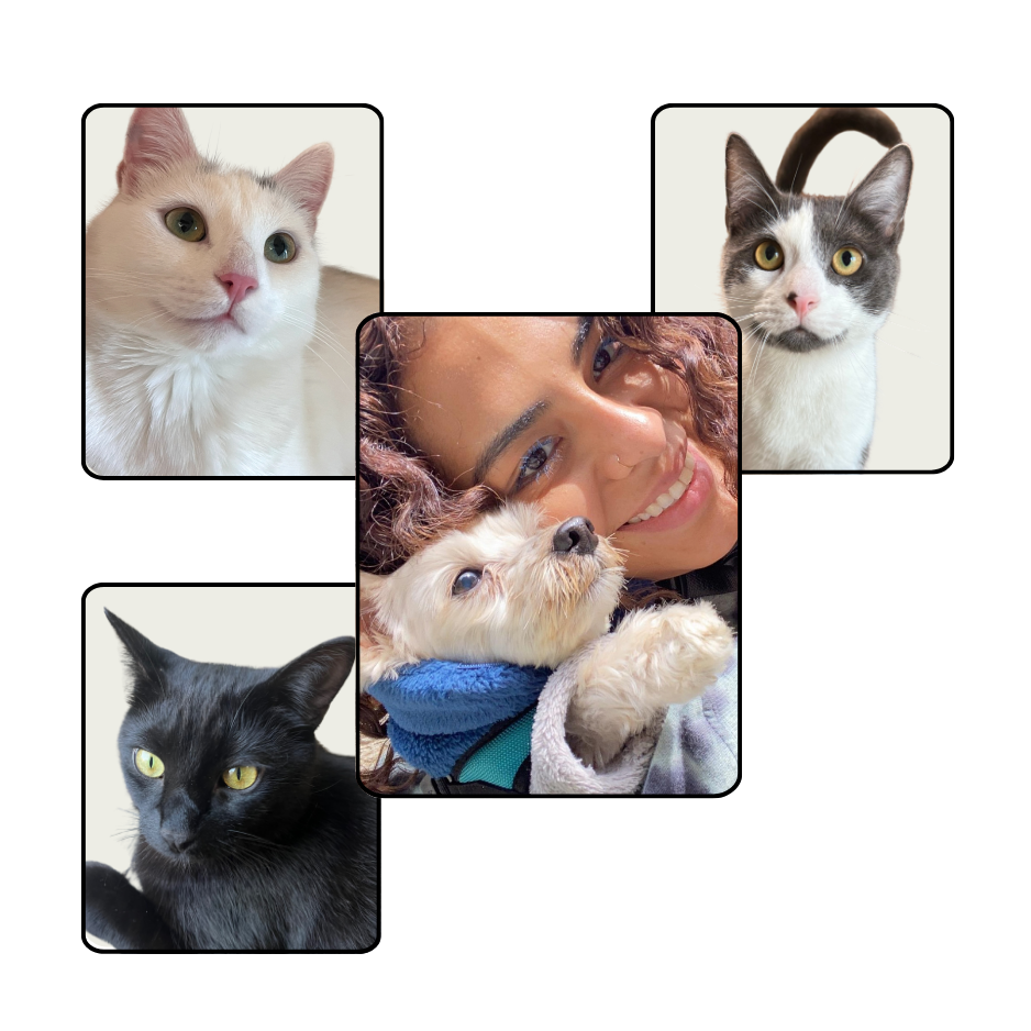BellePepper founder and cats