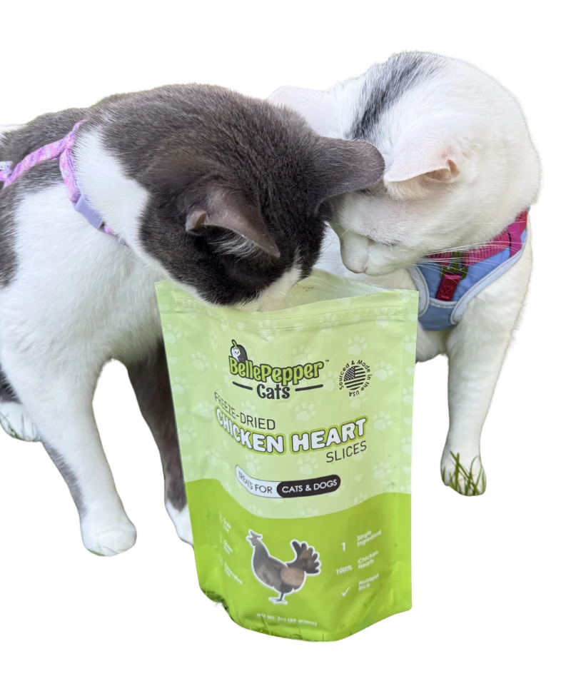 Two cats investigating an open BellePepper treat pouch
